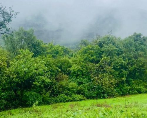 WhatsApp Image 2024-07-18 at 12.22.45 PM