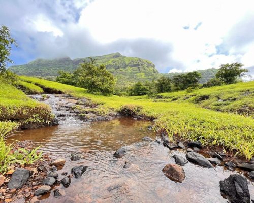 WhatsApp Image 2024-07-18 at 12.22.46 PM (2)