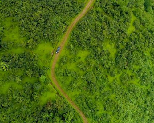 WhatsApp Image 2024-07-18 at 12.22.46 PM