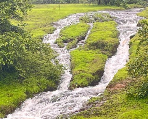 WhatsApp Image 2024-07-18 at 12.22.47 PM (2)