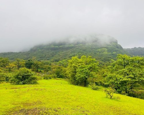 WhatsApp Image 2024-07-18 at 12.22.47 PM