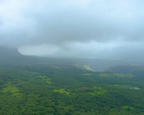 WhatsApp Image 2024-07-18 at 12.22.48 PM (2)