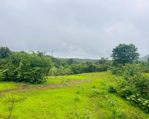 WhatsApp Image 2024-07-18 at 12.22.48 PM